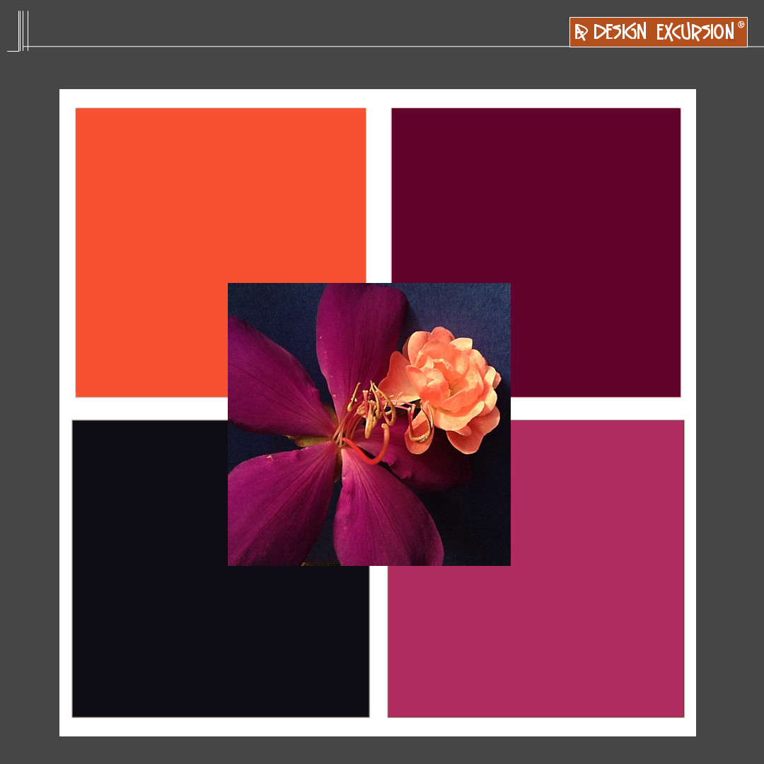 warm colours